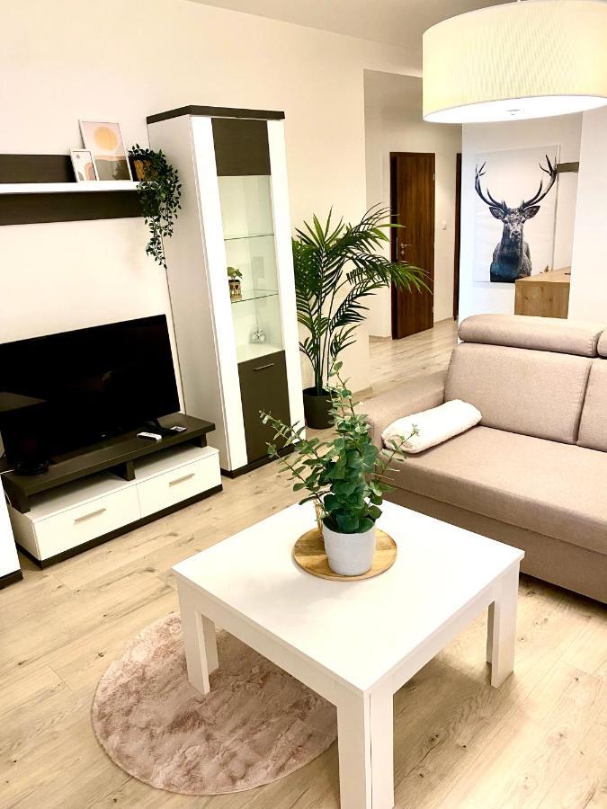 The Elite Suite Downtown A/C & Garage Parking Pressburg Exterior foto